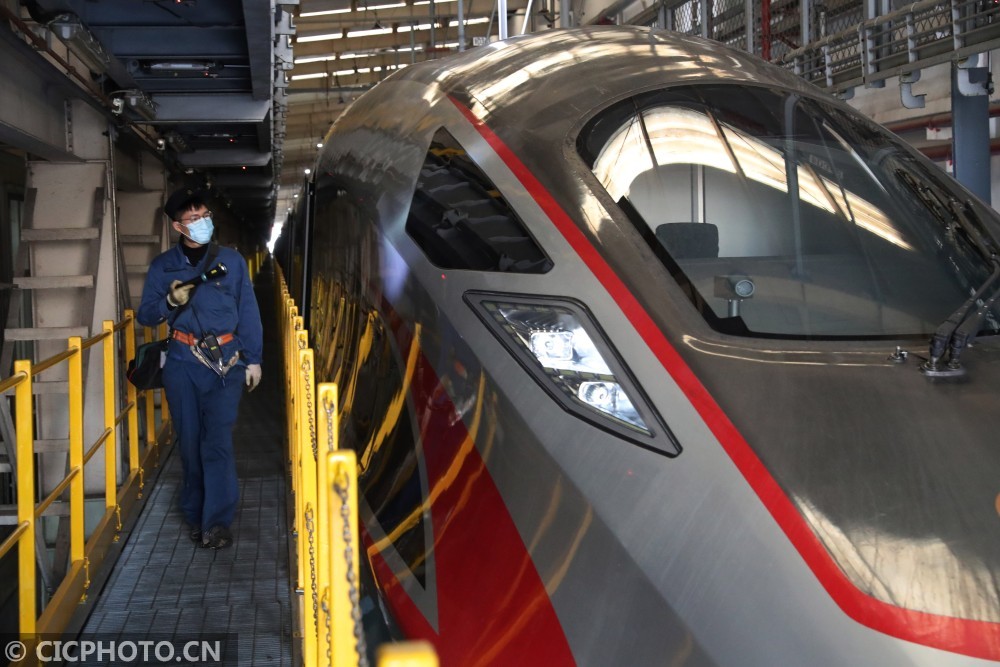 青岛人口2021年有多少_2021年青岛糖球会照片(3)