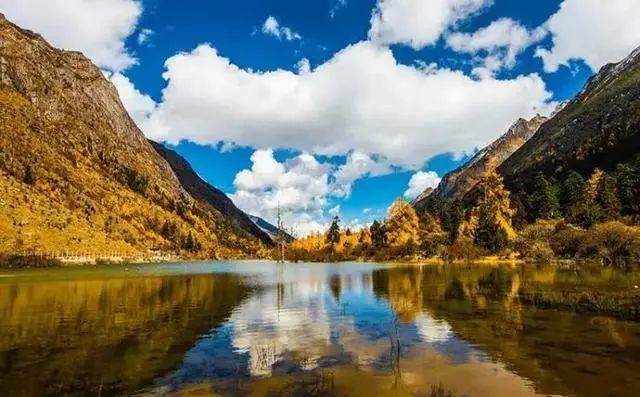 慢步在森林中穿行到太白村村左边是漫山遍野的高山栎树高大强悍让人