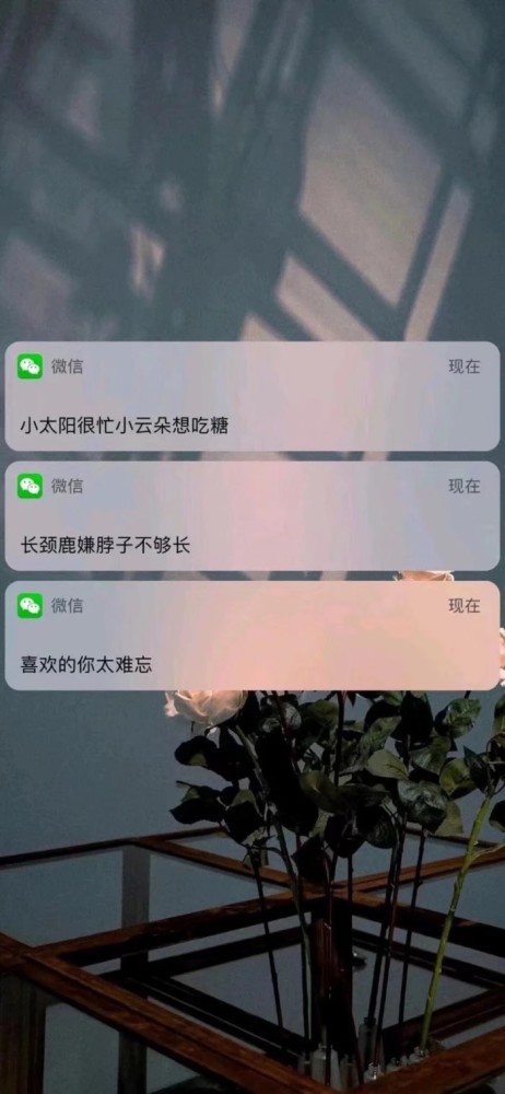 那个要了你半条命的人回来,你还会不会重蹈覆辙?