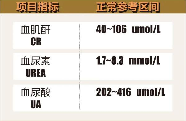 但血肌酐并不是反应肾功能的早期指标,即使血肌酐正常,也要结合其他