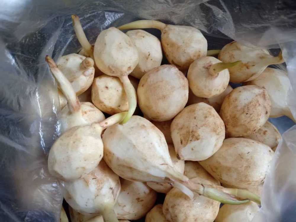 为什么在江门,一看到有茨菇卖,我就觉得要过年了?