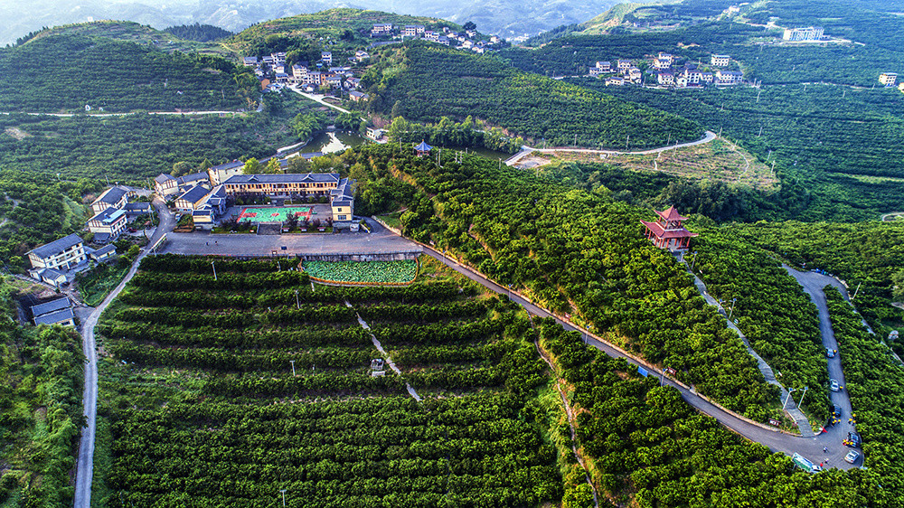 【三峡库心·长江盆景】重庆忠县:"库心十二景"之三峡橘海景区