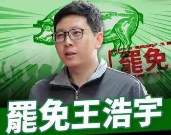 叫嚣对抗大陆 王浩宇遭民众下架