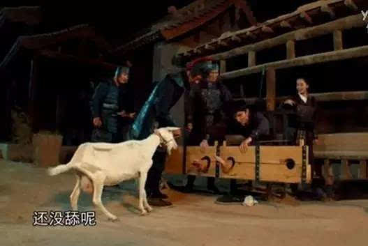 古代刑罚多种多样其中最古怪的刑罚不痛却只用在女人的身上