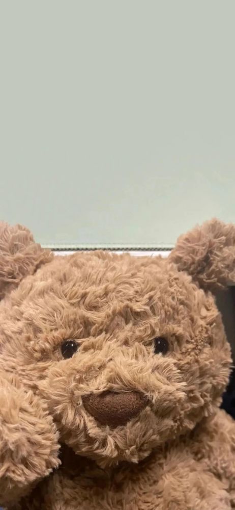 jellycat巴塞罗熊壁纸