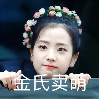 blackpink搞笑表情包