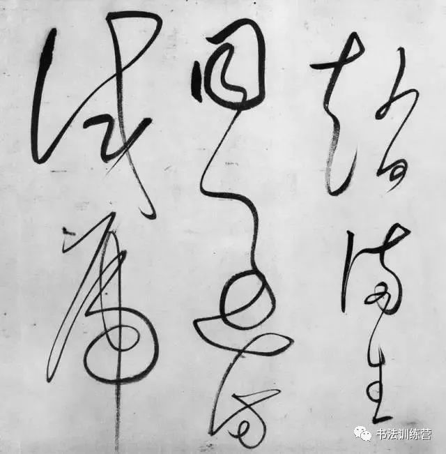 贯虱什么扬成语_床虱咬了擦什么药止痒(3)