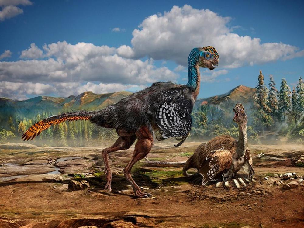 《侏罗纪公园》里的恐龙真的能复活吗,复活后的恐龙会