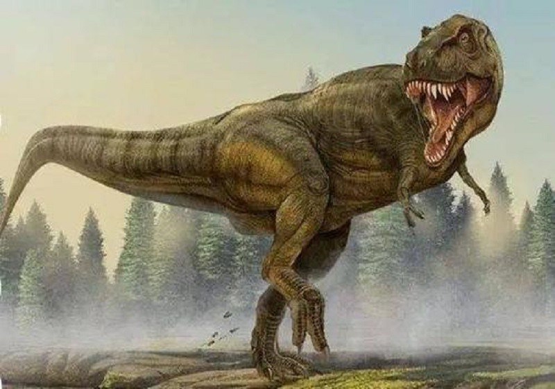 《侏罗纪公园》里的恐龙真的能复活吗,复活后的恐龙会