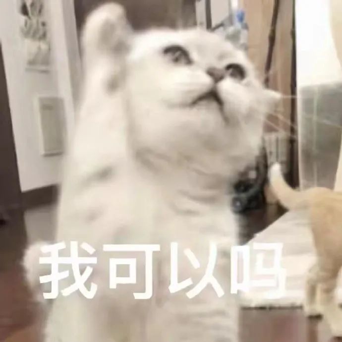 表情包:无情嘲笑
