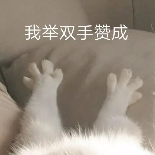 表情包动图给我五块钱