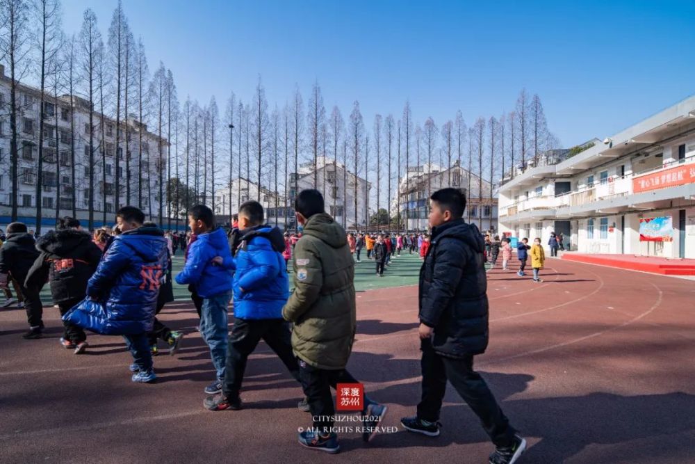 胥江中心小学的学生们在漫漫的校园时光中,细听着水杉树的呢喃.