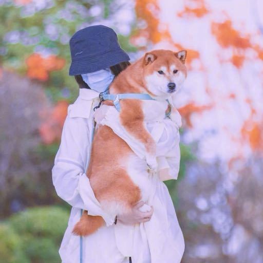 郑爽张恒结婚纪念日疑曝光,女方风波前特意更换头像似