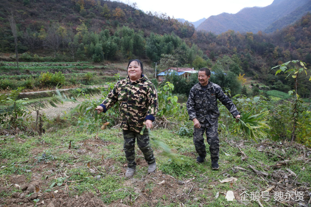 60后夫妻留守大山种地养猪养鸡唱山歌跳舞自己找乐干活不累