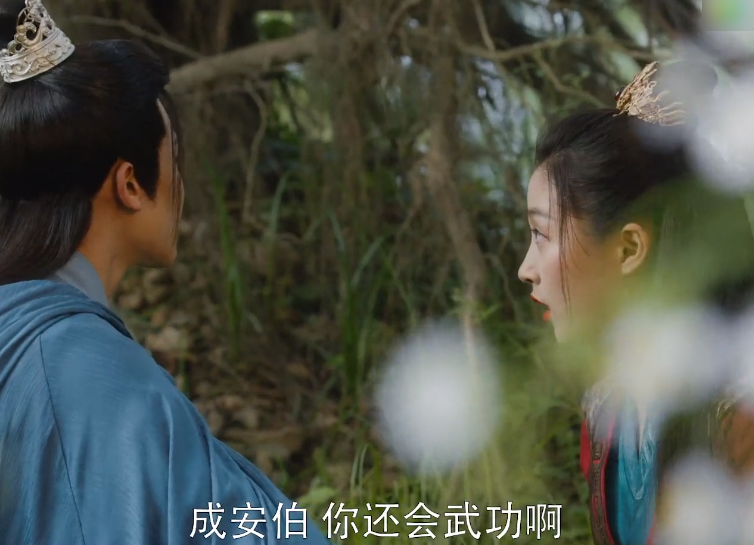 还顺势地问了问容瑕,成安伯你还会武功啊,容瑕根本
