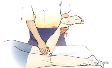 膝关节手法治疗Ⅰ