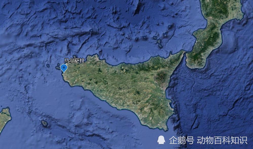 迦太基 人口_迦太基地图(2)