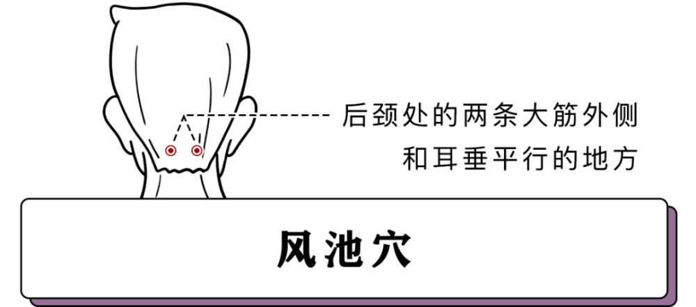 风池穴人体7大黄金穴位缓解头痛头晕晕车晕船
