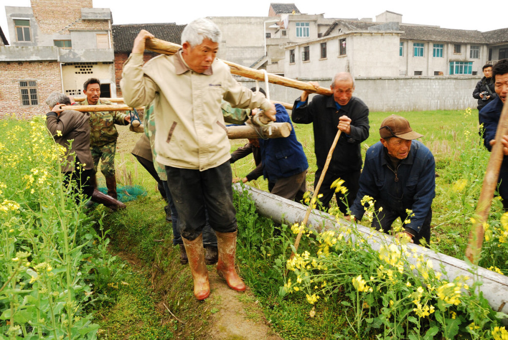 全国居民包括农村人口吗_深圳居民人口图片