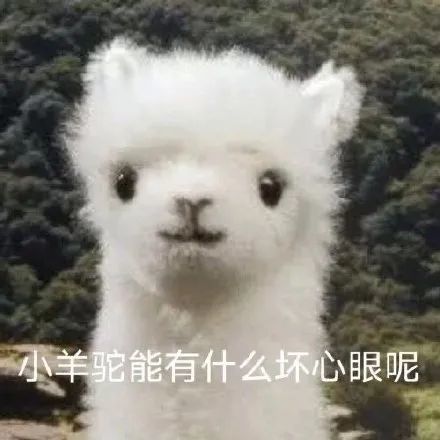 表情包|坏心眼 小猫咪 小狗勾 小乌龟 胖达 能有什么坏心眼