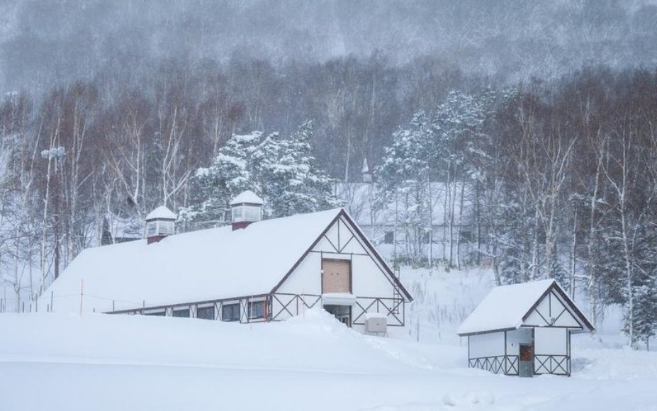 素冰弥泽白雪依山