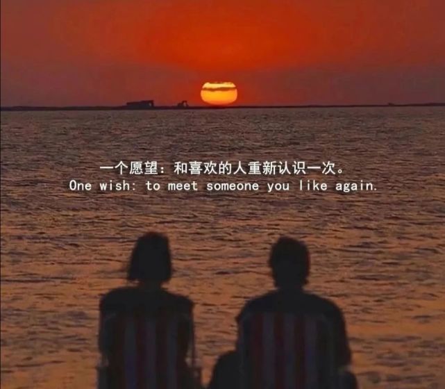 一个愿望:和喜欢的人重新认识一次 (来自:团子文案馆)