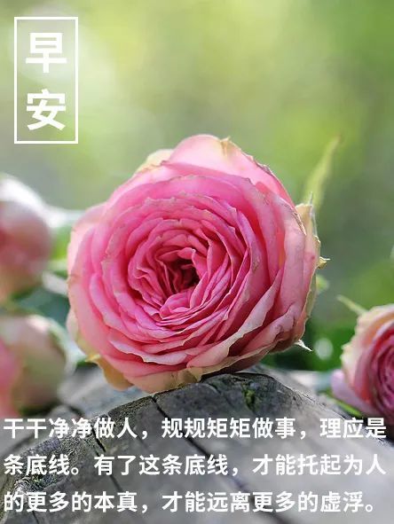早安心语阳光一句话 早安心语正能量