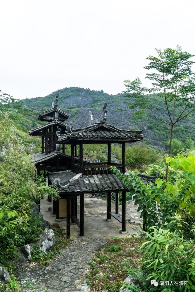 灌阳有多少人口_灌阳油茶(2)