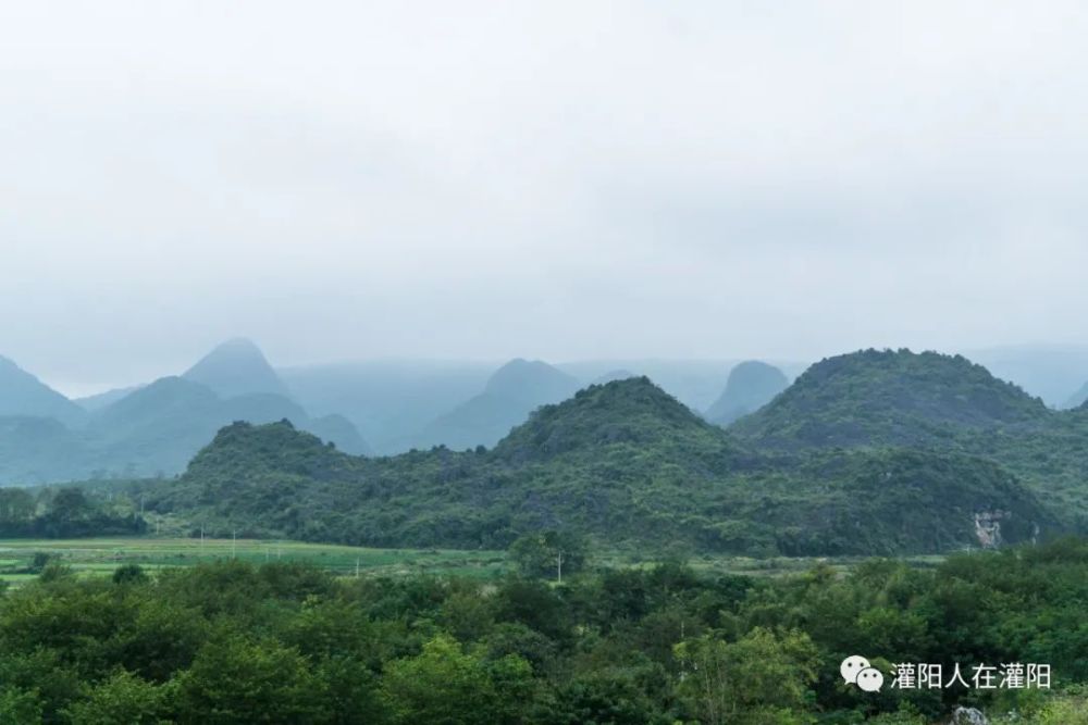 灌阳有多少人口_灌阳油茶