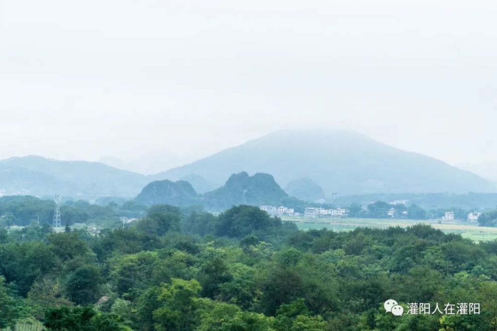 灌阳有多少人口_灌阳油茶(3)