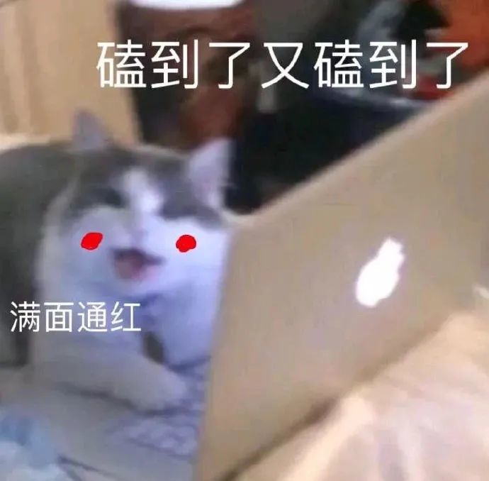 抖音表情包|20块如何过一星期,隐身药水,姐妹问你个事