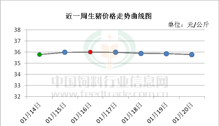 流动人口就地过年风险(2)