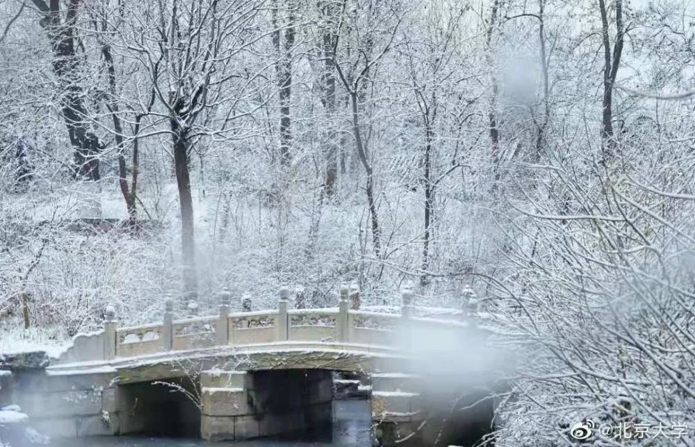 网友们都表示—— 2021年的北京初雪寓意太美!