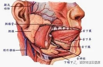 放任腮腺肿物20年小包块终恶变成癌