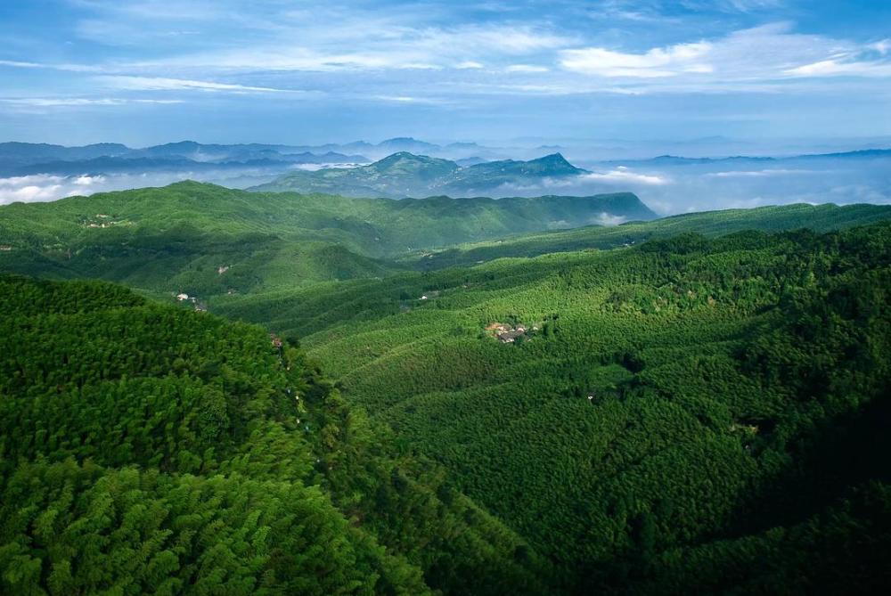 休闲度假为主题的旅游风景区,素有"蜀南竹海天下翠" "绿色海洋,养生