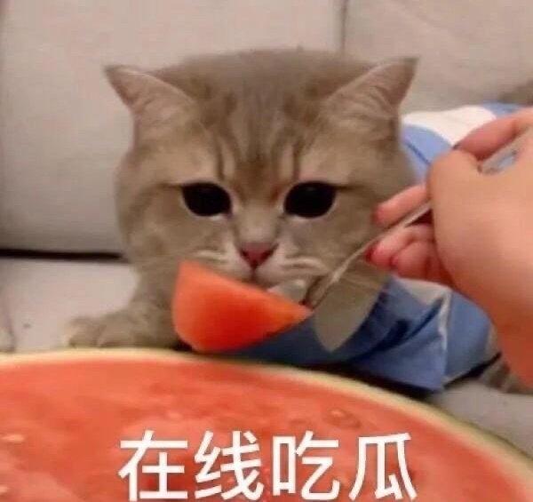 仿佛也是瓜田里的猹,吃瓜吃到上蹿下跳,难道这就是"吃瓜吃到自己身上"