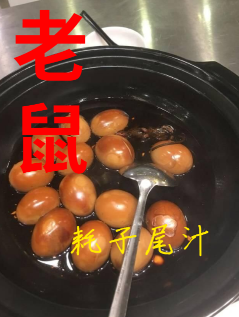 浙江大学食堂出现老鼠网友希望你耗子尾汁