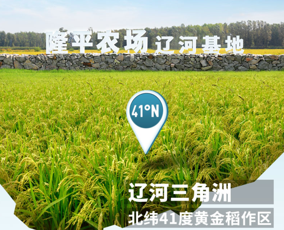 农场实拍图 隆平农场在其中挑选了 富含有机质(高于10%)的 盐碱地,使