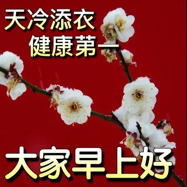 天冷关心人的早安祝福问候表情图片分享温馨早安祝福问候语