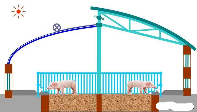 阳光猪舍,该如何建设,建造成本多少?