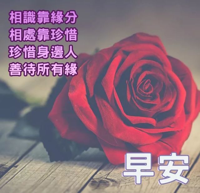 早安问候语图片带字大全 早上好的问候语