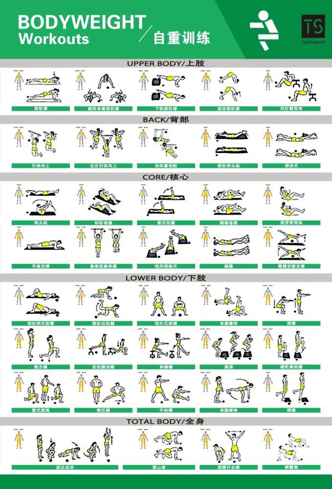 体能训练动作库图解大全