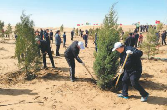 法媒:中国不知道沙漠植树的危害吗?还自称环保大国,太