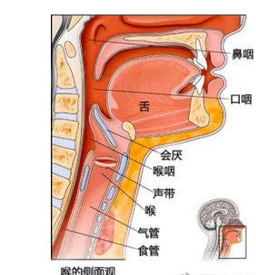 南昌博大甲状腺:甲状腺术后声带麻痹是什么原因?