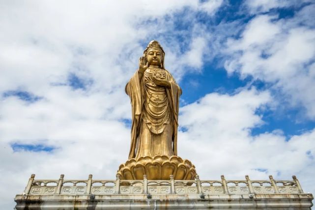 从南海观音出发,沿海北上,普陀山这条初夏游线,又美又