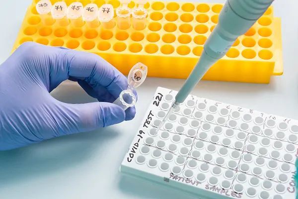 核酸户籍人口_丰城户籍人口统计图(3)