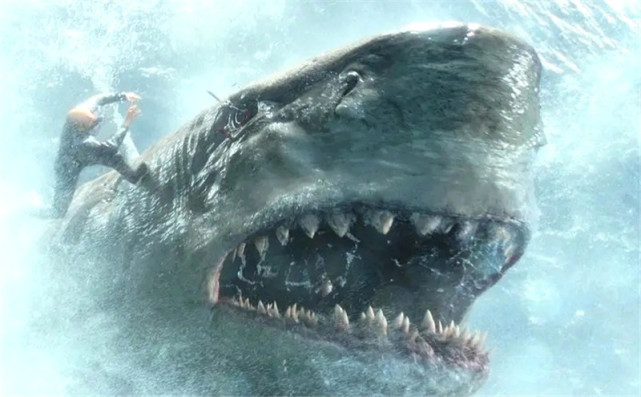 在大约2800万年前,地球上出现了一种极其恐怖的鲨鱼—巨齿鲨.