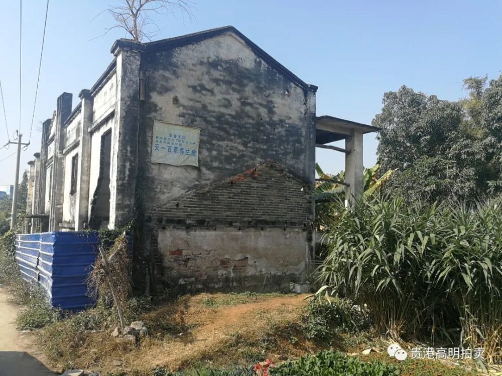 平南丹竹镇gdp_广西平南丹竹镇街图片