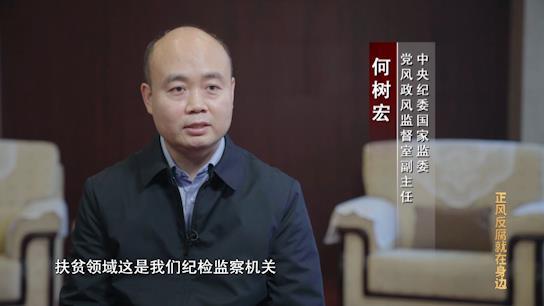 何树宏(中央纪委国家监委党风政风监督室副主任)