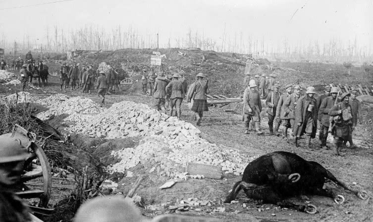 图二:第一次世界大战中路边一匹死去的战马,一战中,各国仍然有骑兵